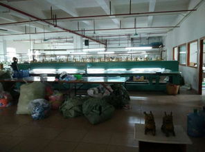 东莞市农村社区集体资产管理网在东风社区的应用 网络工程实践与展望